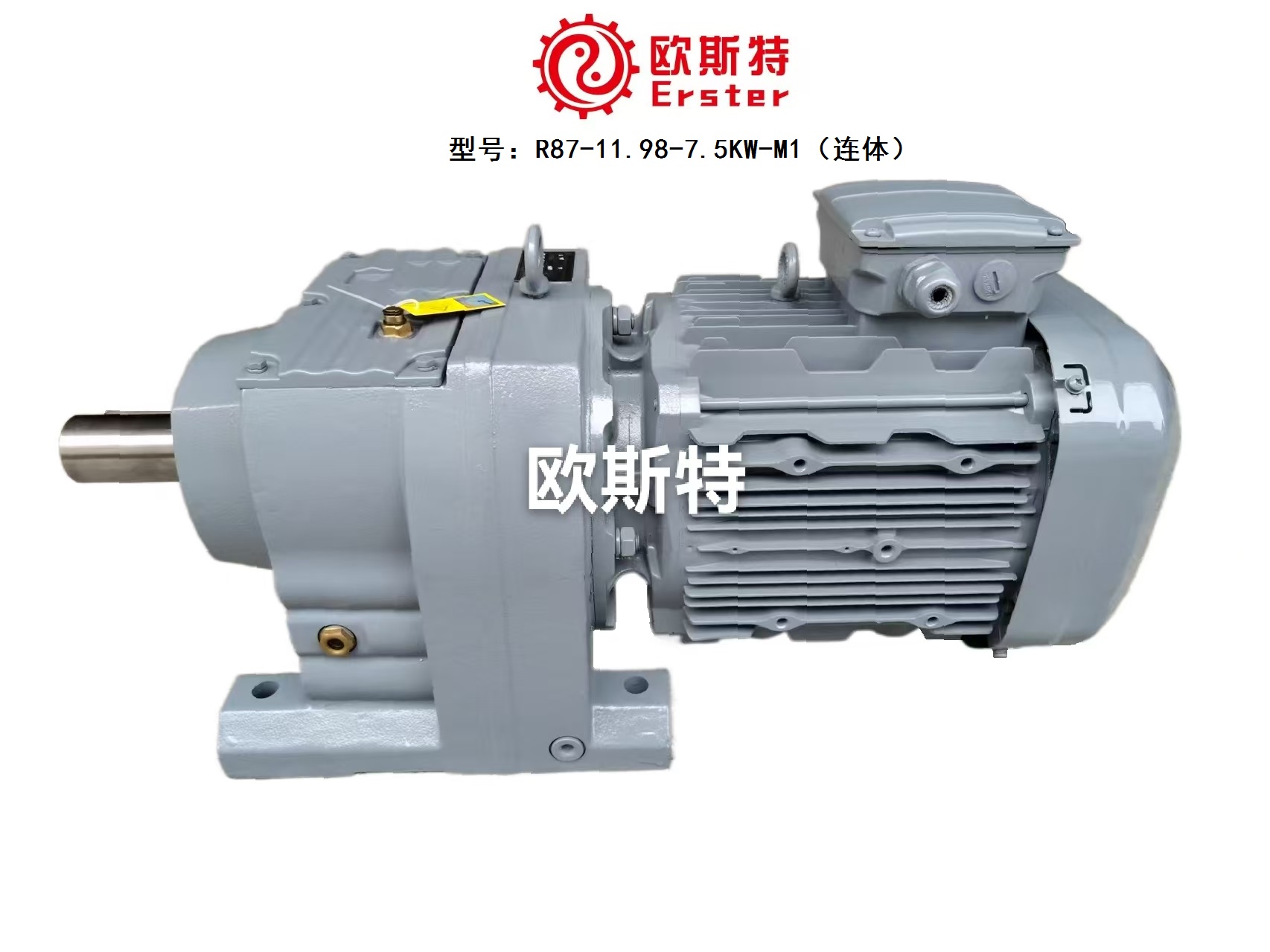 欧斯特减速电机R87-11.98-7.5KW-M1（连体型）斜齿轮减速电机