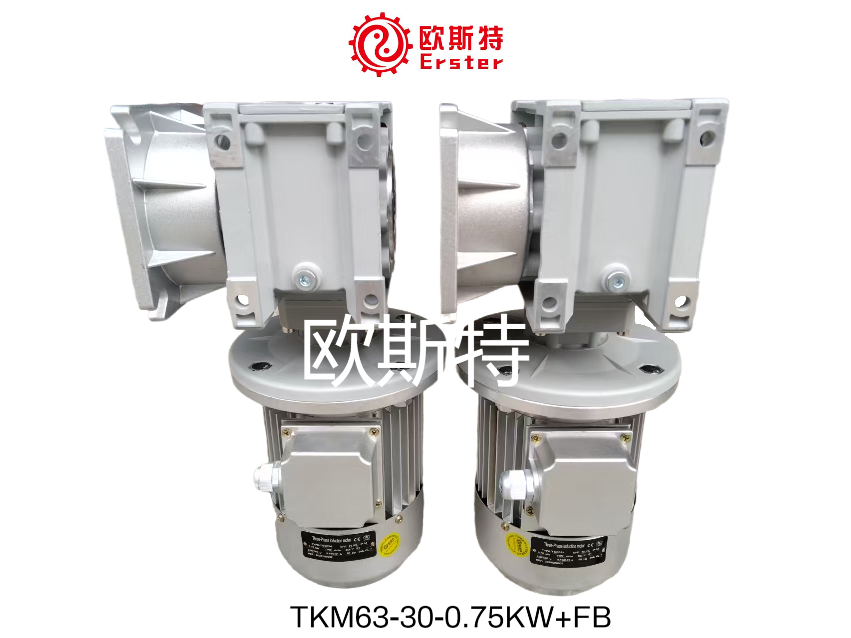 欧斯特减速机TKM63-30-0.75KW+FB双曲面齿轮减速电机