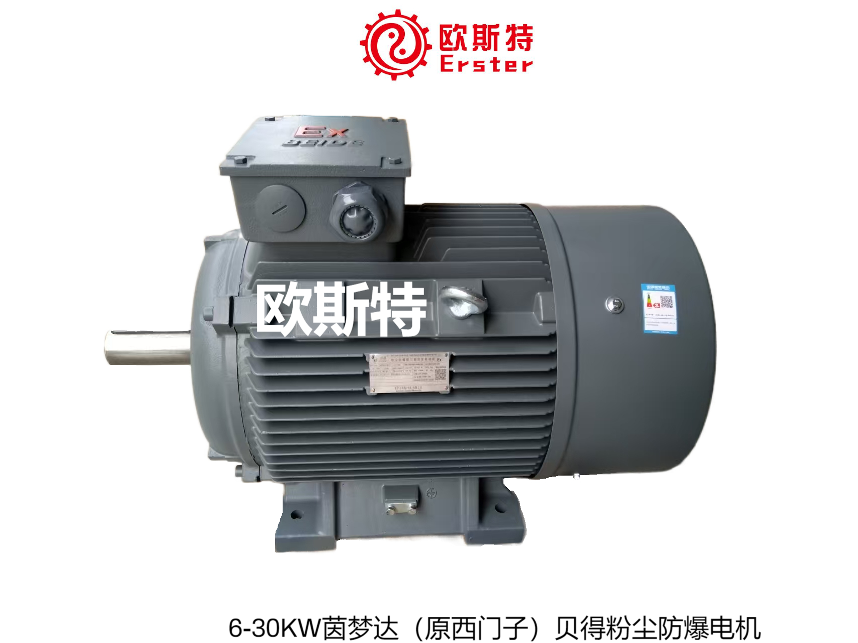 6-30KW茵梦达（原西门子）贝得粉尘防爆电机