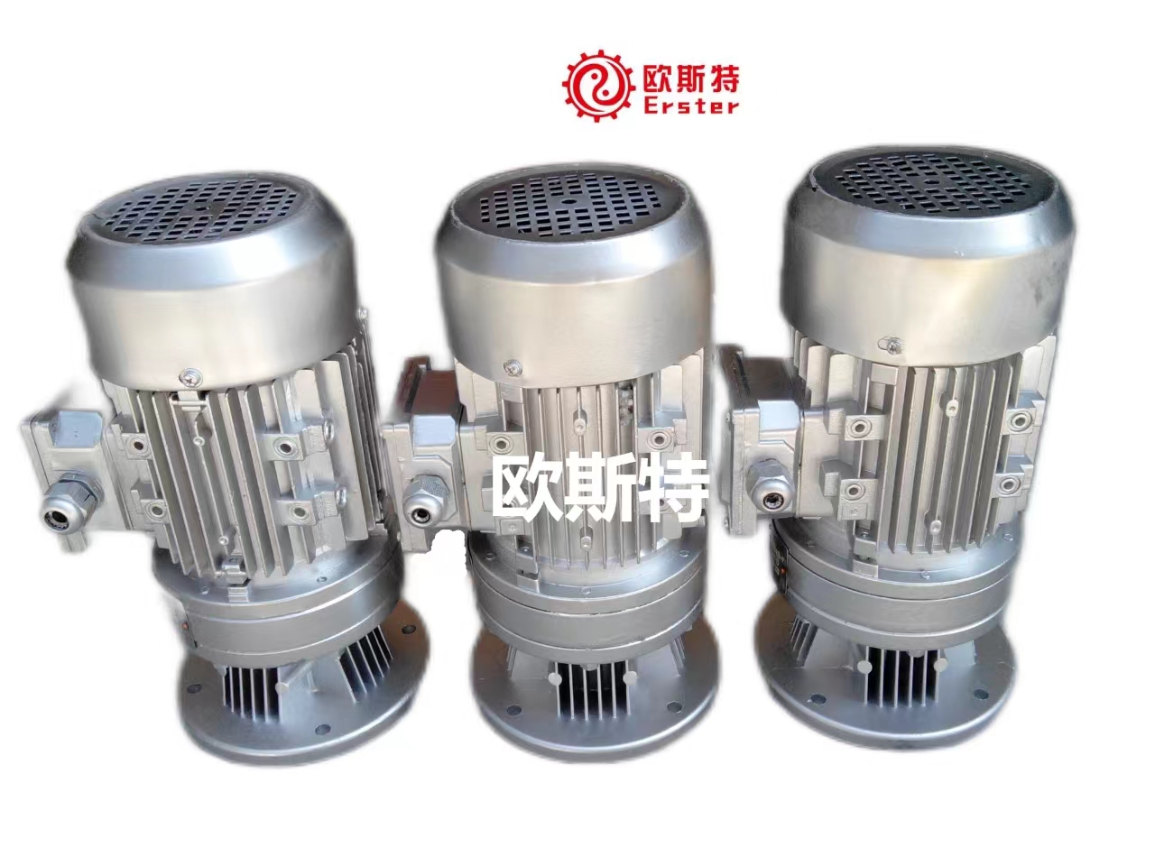 欧斯特减速电机WB100-LD-0.25KW立式铝壳微型摆线针轮减速机