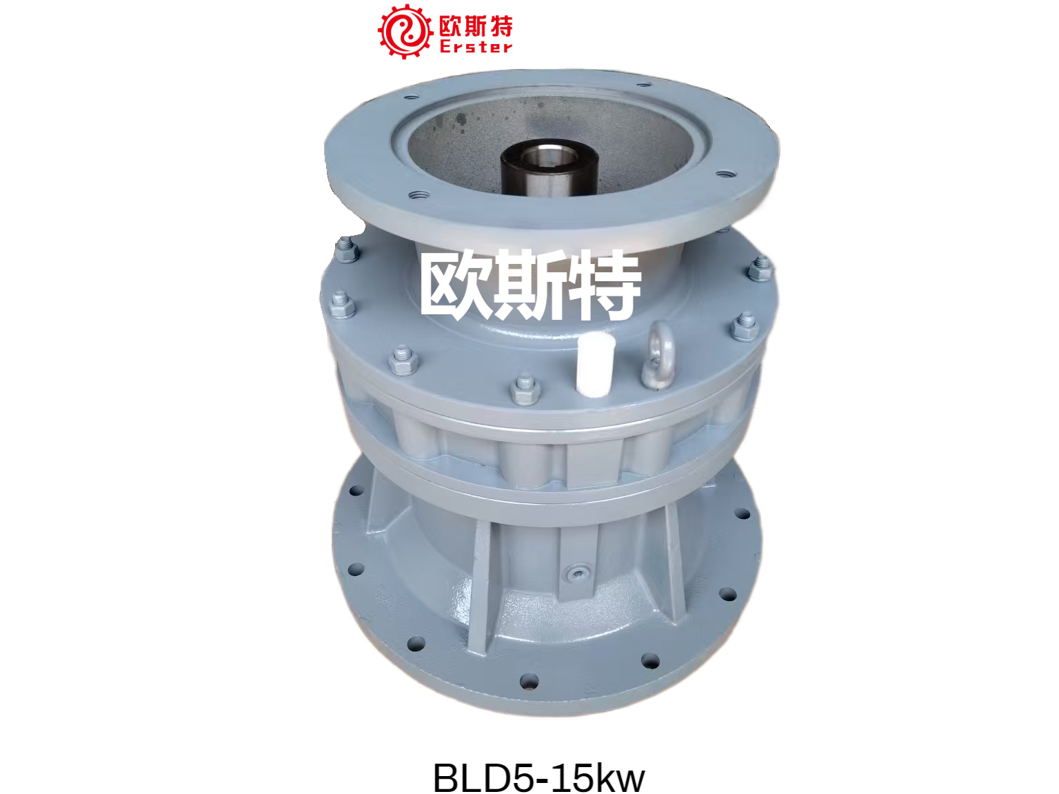 欧斯特减速机BLD5-15kw摆线针轮减速机