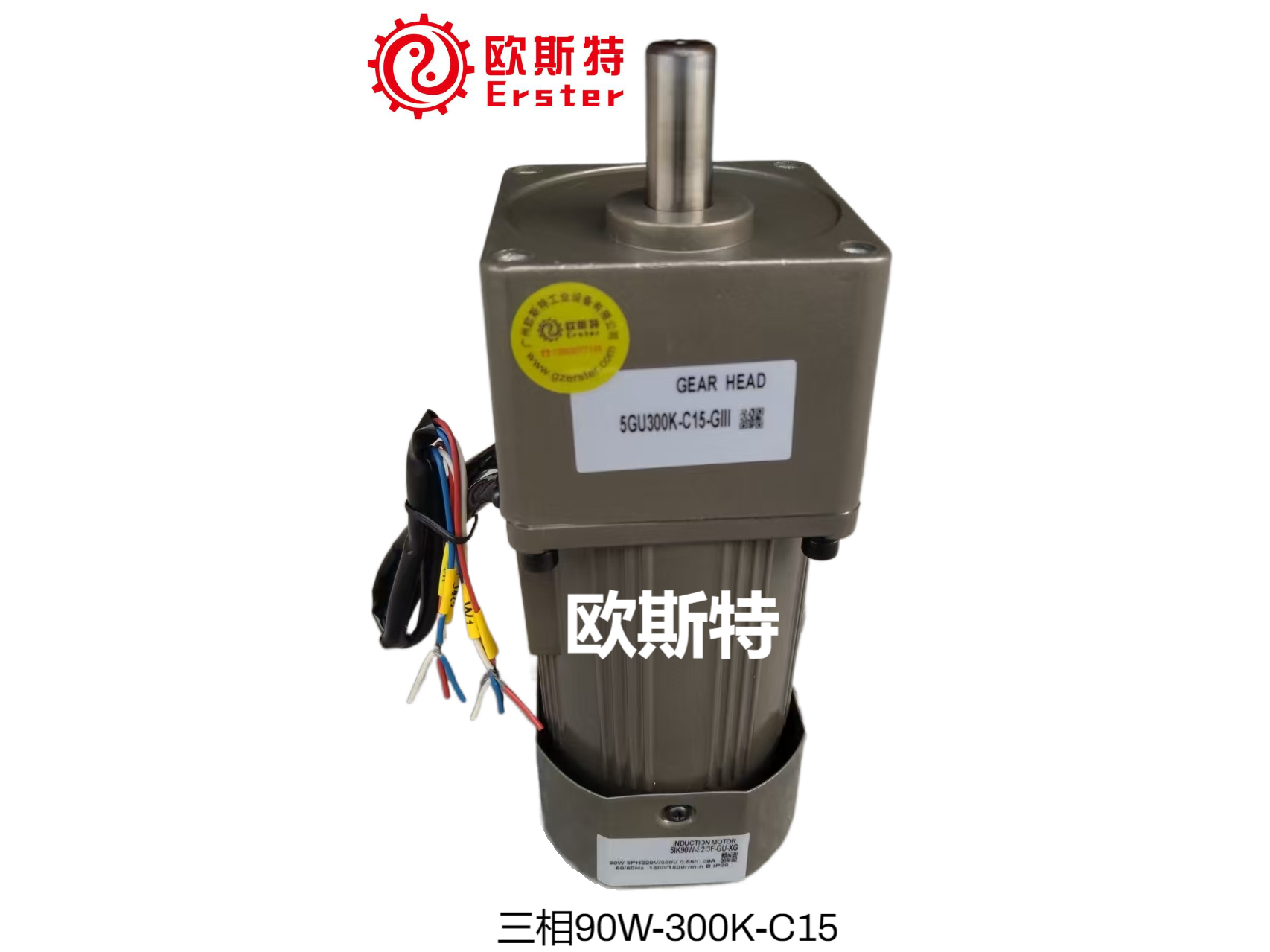 欧斯特微型齿轮减速电机5IK90W-S2S3F+5GU300K-C15三相220/380V微型减速电机